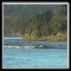 Newnham Channel