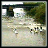 Over Bridge