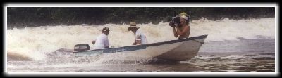 Courtesy www.buganet.com.br/Esportes/surf.htm