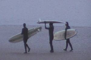 A Morning Stroll Down A Sandbank - Magic Feet, Wizard and Toes