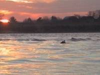 Toes paddles home as the morning sun rises...