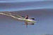 Random Mascaret Surfing Photo 6.