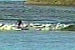 Random Severn Bore Surfing Photo 5.