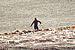 Random Severn Bore Surfing Photo 1.