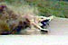 Random Severn Bore Surfing Photo 4.